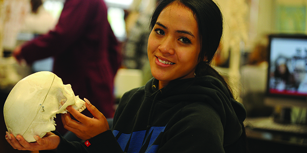 A student holding a human skull model.